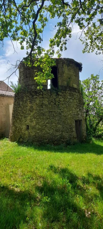 Moulin De Bigorre Vila Saint-Genès-de-Castillon Exterior foto